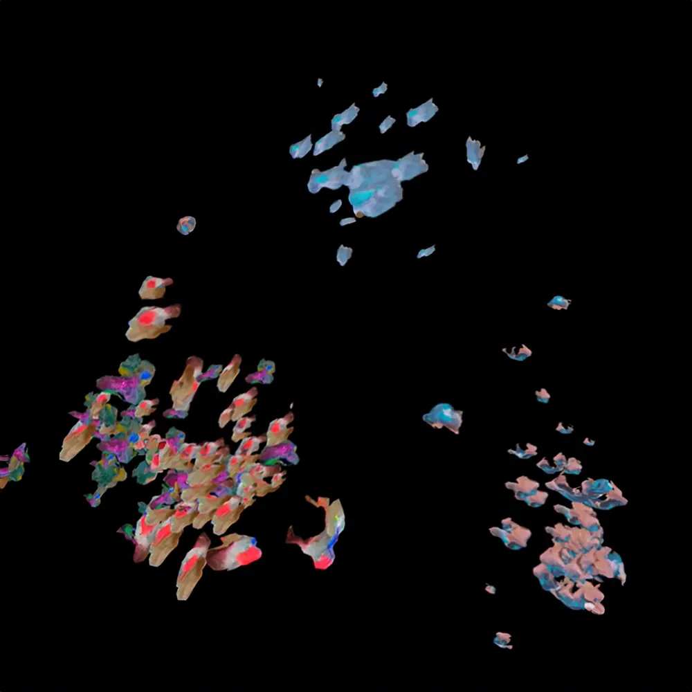 Flow and Shield, view 2