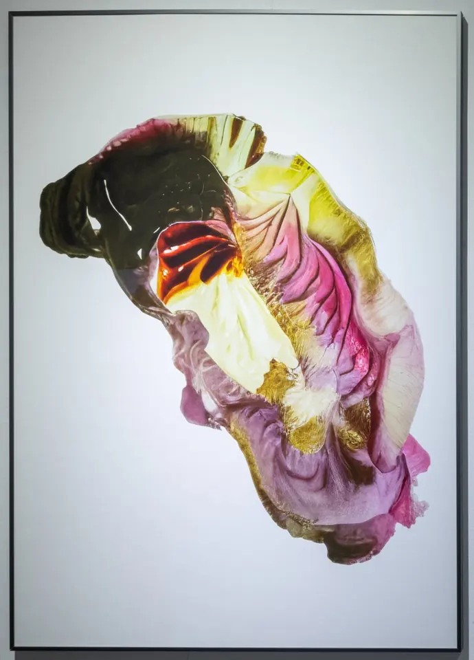 Fragments of Desire: Mutating Objects (변이하는 객체들), painting by Yeongju Yang